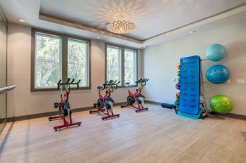 The gym center